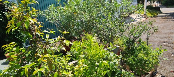 10-Zimmer Haus in Goslar, Germany, Nr. 137217 30