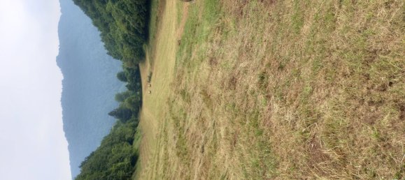 Terreno en Torrebelvicino, Italy 20000 m² No. 289907 6