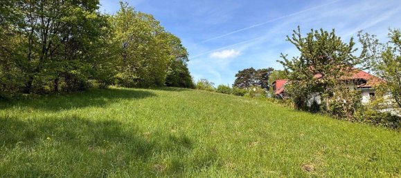 Terreno en Klosterneuburg, Austria No. 212647 2