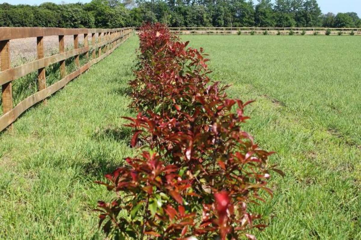 Земельный участок в Сан Антонио де Ареко, Аргентина № 40915