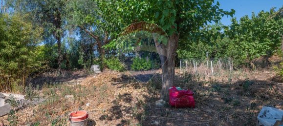 8 chambres Villa à Grammichele, Italy No. 324568 33