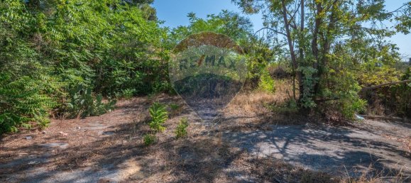 8 chambres Villa à Grammichele, Italy No. 324568 23