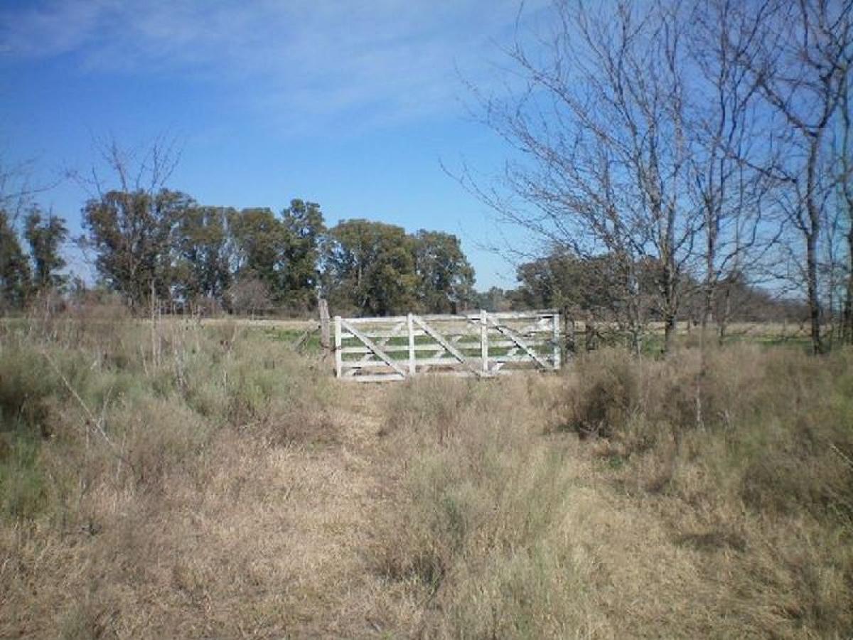  قطعة أرض في Buenos Aires, Argentina رقم 117707