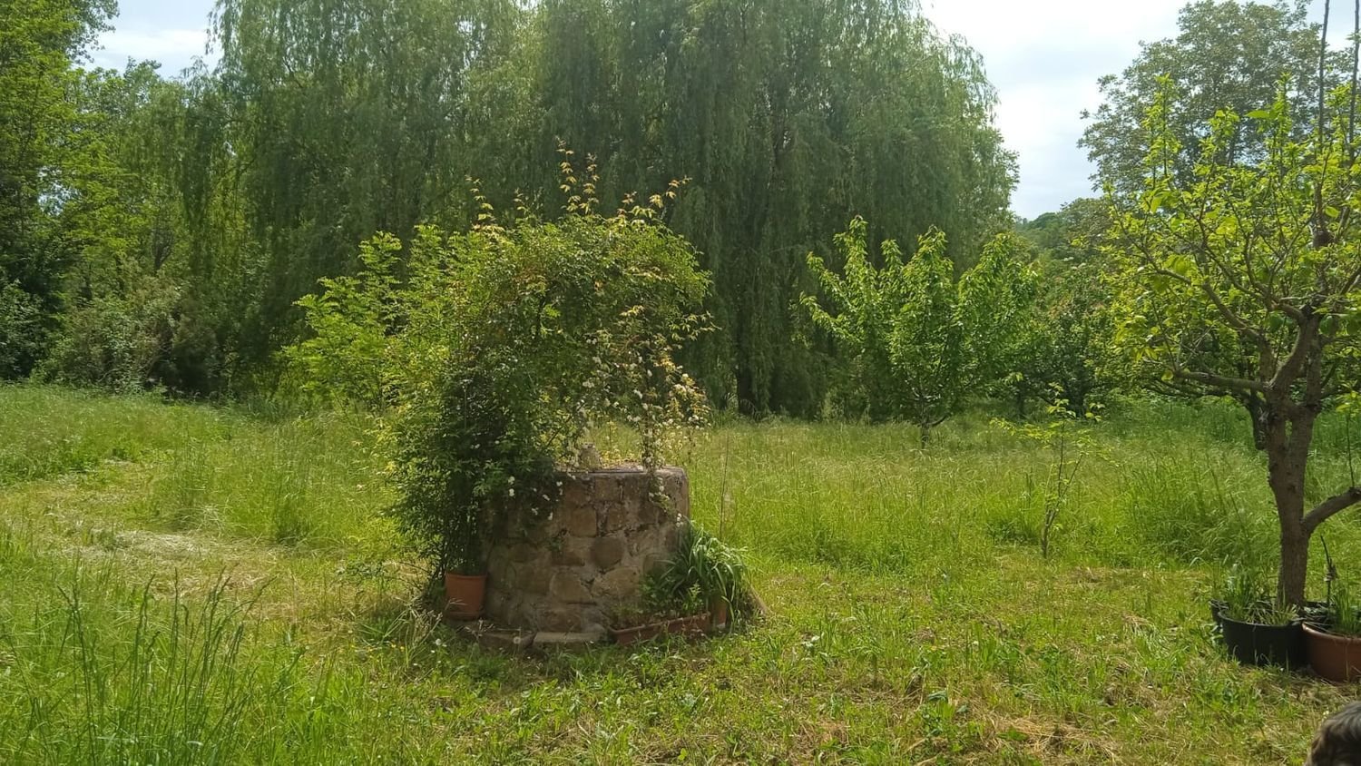 Studio in Saludecio, Italy No. 306422