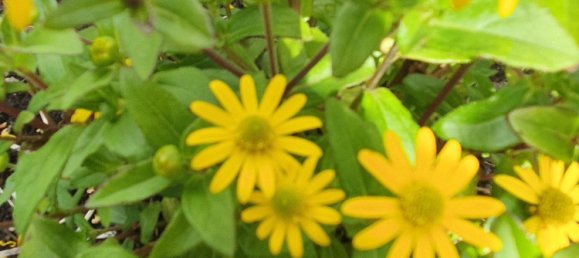 6-Zimmer Bungalow in Stormarn, Germany, Nr. 75292 20