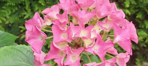 6-Zimmer Bungalow in Stormarn, Germany, Nr. 75292 14