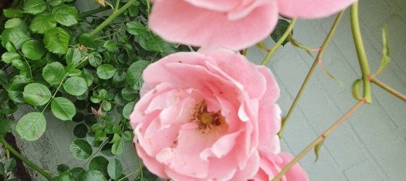 6-Zimmer Bungalow in Stormarn, Germany, Nr. 75292 16