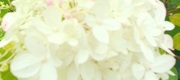 6-Zimmer Bungalow in Stormarn, Germany, Nr. 75292 18