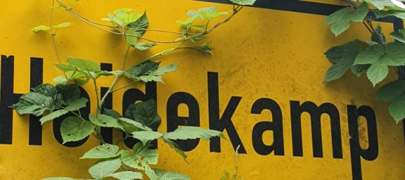 6-Zimmer Bungalow in Stormarn, Germany, Nr. 75292 7