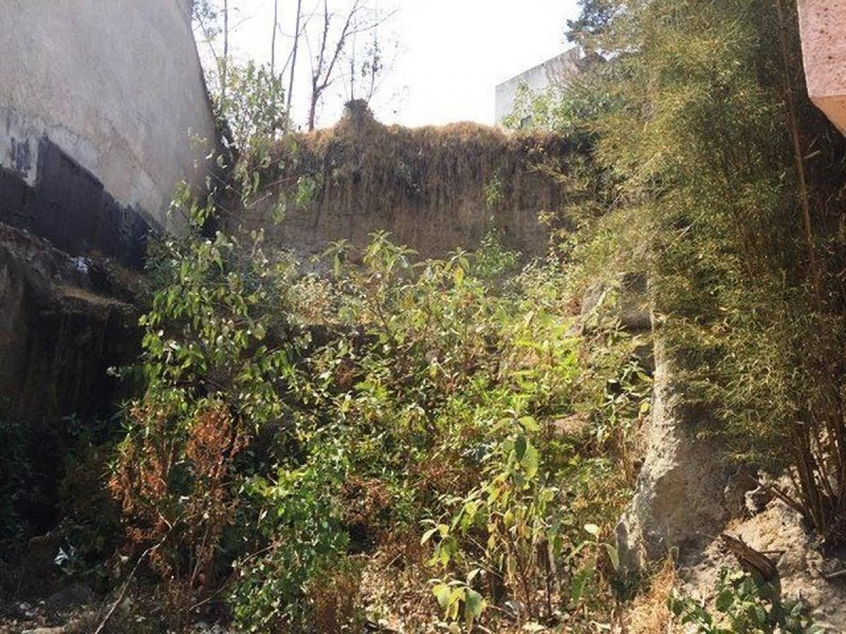 Terrain à Mexico No. 205070