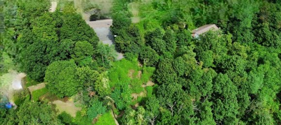 3031m² Land in Bad Durkheim, Germany No. 22938 5