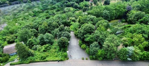 3031m² Land in Bad Durkheim, Germany No. 22938 4