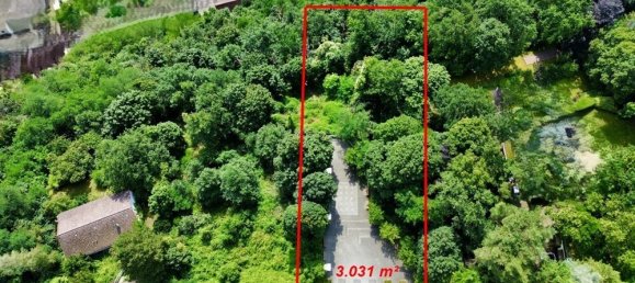 3031m² Land in Bad Durkheim, Germany No. 22938 2