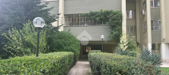 3 Schlafzimmer Wohnung in Rome, Italy, Nr. 282470 2