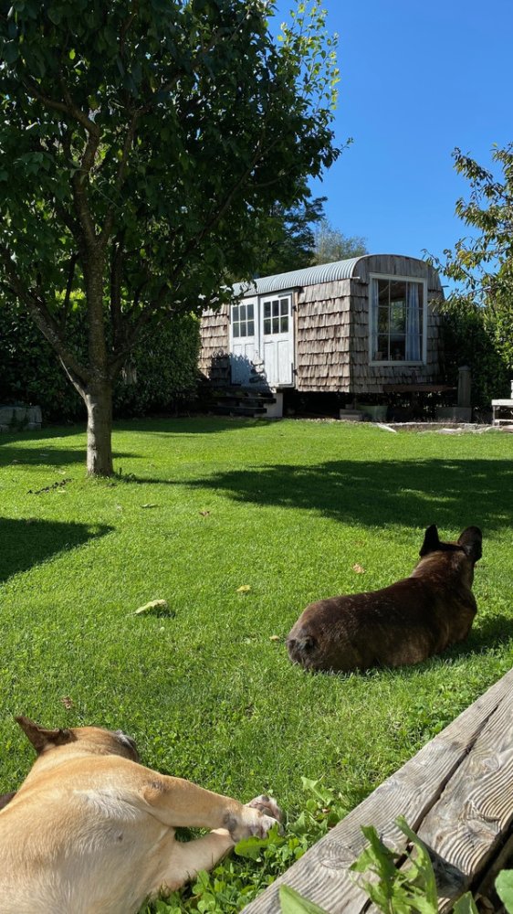 6غرفة منزل في Motz, Austria رقم 252875