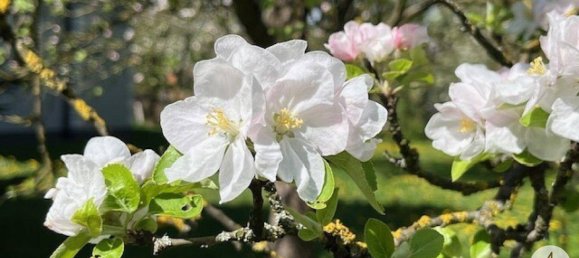 888m² Land in Randegg, Austria No. 166640 5