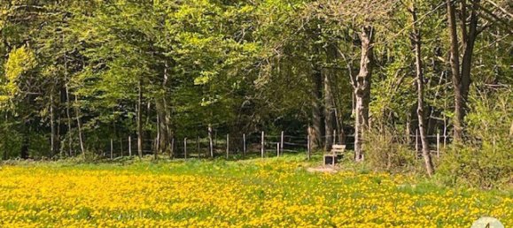 888m² Land in Randegg, Austria No. 166640 2