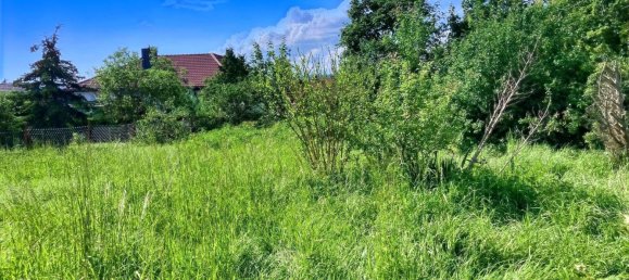 6 rooms Townhouse in Mansfeld-Sudharz, Germany No. 144913 18