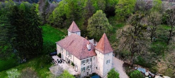 7 bedrooms Castles in Montanges, France No. 205519 2