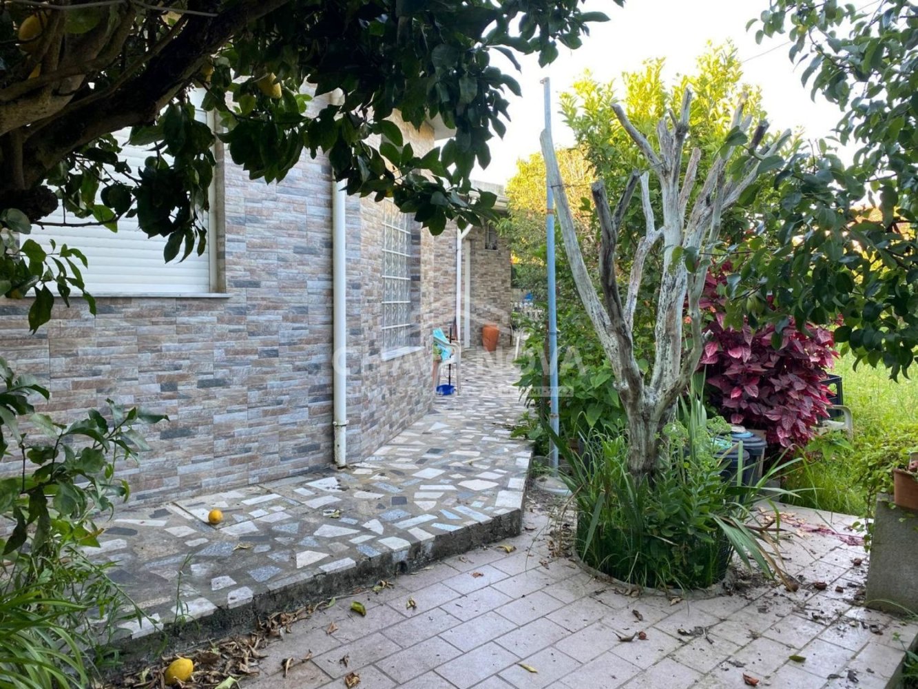 Grundstück in Madalena, Portugal, Nr. 246828