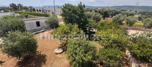 Вилла с 3 спальнями в Монополи, Италия № 353273 12