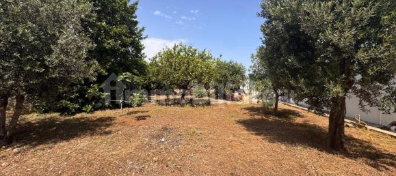 Вилла с 3 спальнями в Монополи, Италия № 353273 9