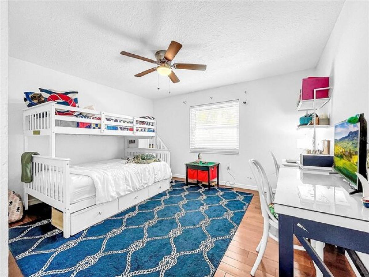 4 Schlafzimmer Haus in Palm Harbor, USA, Nr. 414309