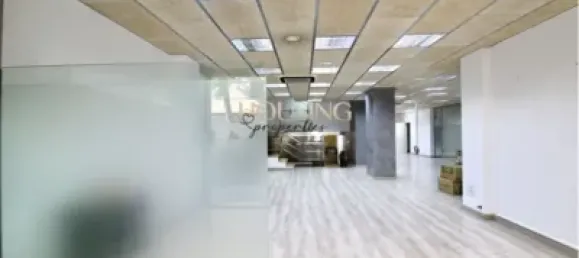 Gewerbliche Immobilie in Palma de Majorca, Spain 330m², Nr. 170064 12