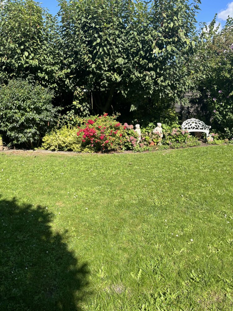 2 غرف نوم منزل في Lower Saxony, Germany رقم 339448