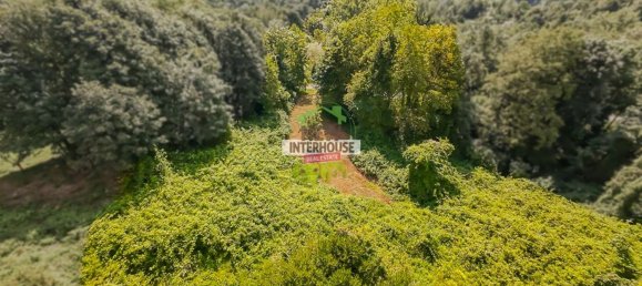 8 bedrooms House in Pordenone, Italy No. 326925 6