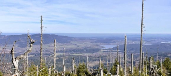 5 غرف نوم منزل في Schwarzenberg am Bohmerwald, Austria رقم 176860 21