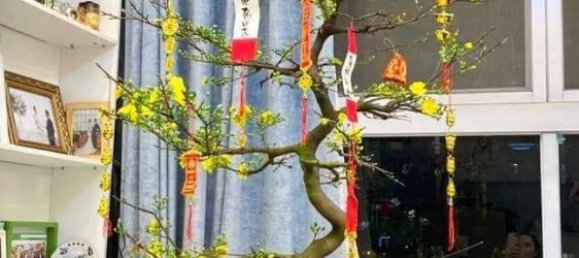 3 bedrooms Apartment in District 7, Vietnam No. 10272 6