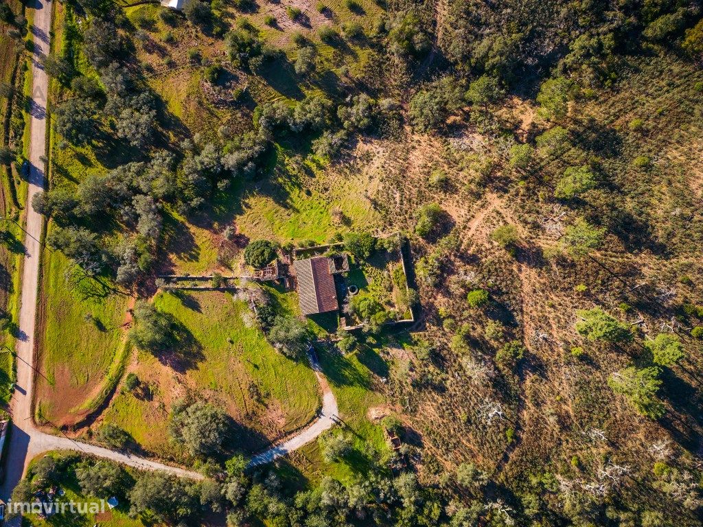 54700m² Land in Sao Bras de Alportel, Portugal No. 208579