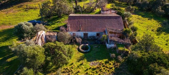 54700m² Land in Sao Bras de Alportel, Portugal No. 208579 5