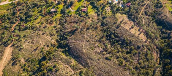 54700m² Land in Sao Bras de Alportel, Portugal No. 208579 30