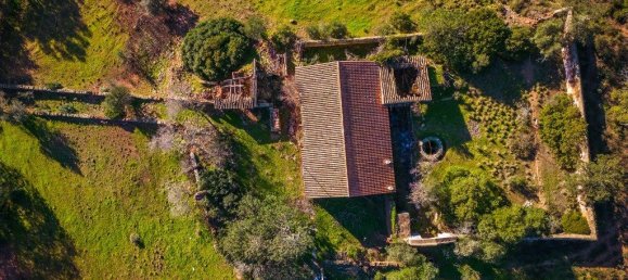 54700m² Land in Sao Bras de Alportel, Portugal No. 208579 4