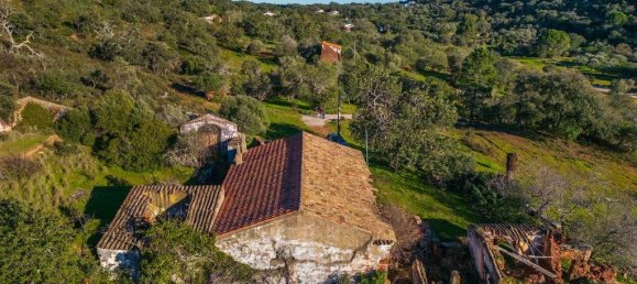 54700m² Land in Sao Bras de Alportel, Portugal No. 208579 7