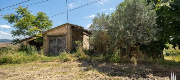 11 Schlafzimmer Haus in Montalcino, Italy, Nr. 56377 43