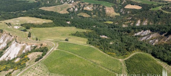 11 Schlafzimmer Haus in Montalcino, Italy, Nr. 56377 11