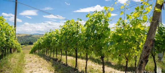 11 Schlafzimmer Haus in Montalcino, Italy, Nr. 56377 46