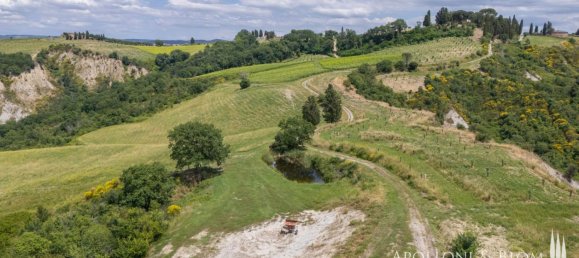 11 Schlafzimmer Haus in Montalcino, Italy, Nr. 56377 48