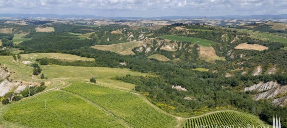 11 Schlafzimmer Haus in Montalcino, Italy, Nr. 56377 10