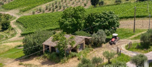 11 Schlafzimmer Haus in Montalcino, Italy, Nr. 56377 49