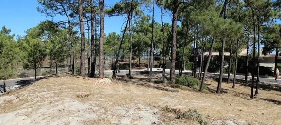  Land in Grandola, Portugal No. 131889 8