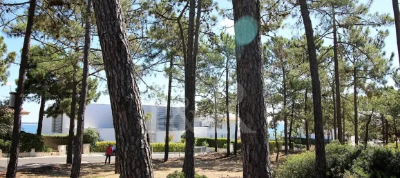  Land in Grandola, Portugal No. 131889 11