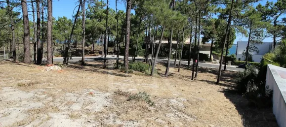  Land in Grandola, Portugal No. 131889 4