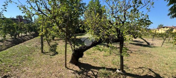 3 bedrooms Villa in Minturno, Italy No. 370859 24