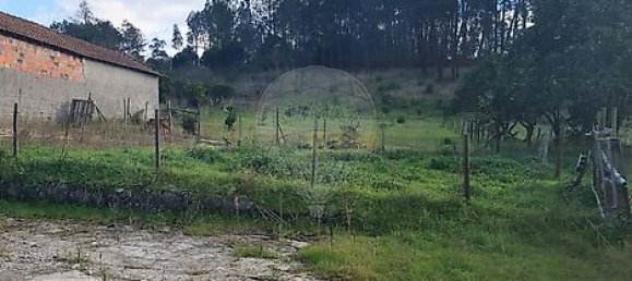 3 Schlafzimmer Haus in Alcobaca, Portugal, Nr. 33117 13