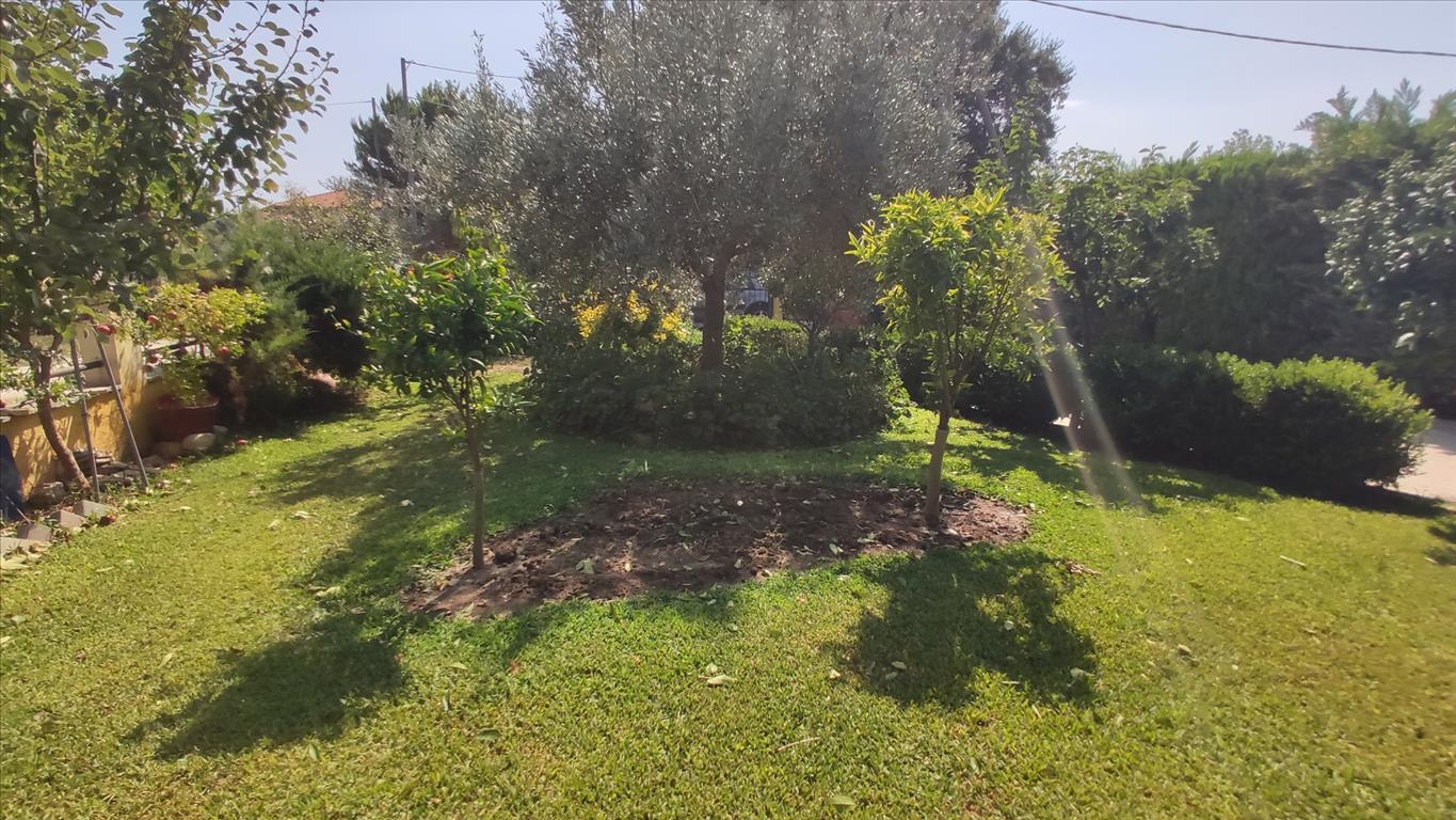 3 bedrooms Commercial property in Chalkidiki, Greece No. 4082