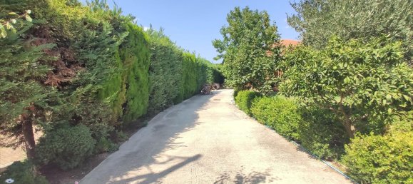 3 bedrooms Commercial property in Chalkidiki, Greece No. 4082 13